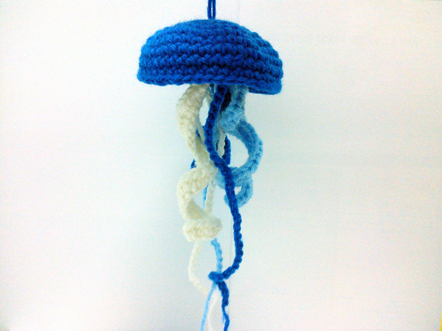 Jellyfish