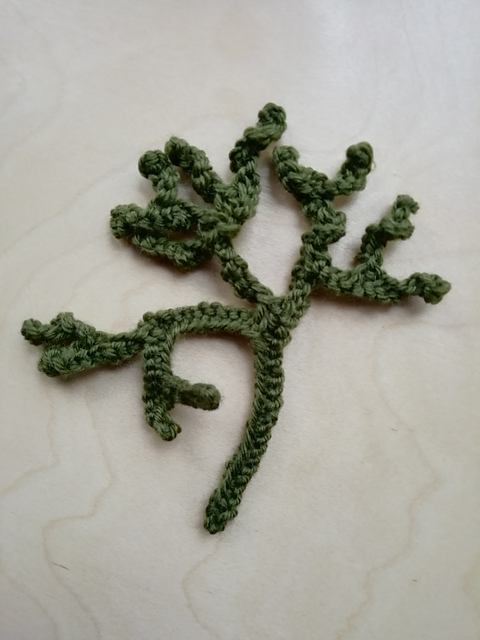 Channelled Wrack (Seaweed)