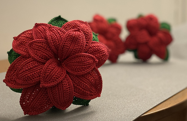 Poinsettia