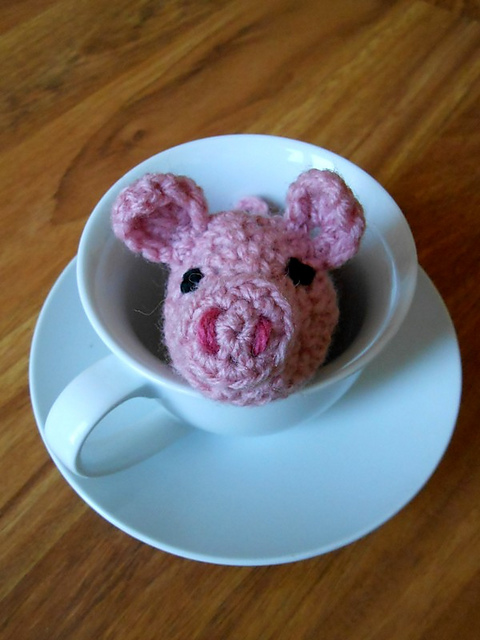 Stampey the Teacup Pig