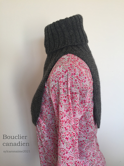Bouclier canadien
