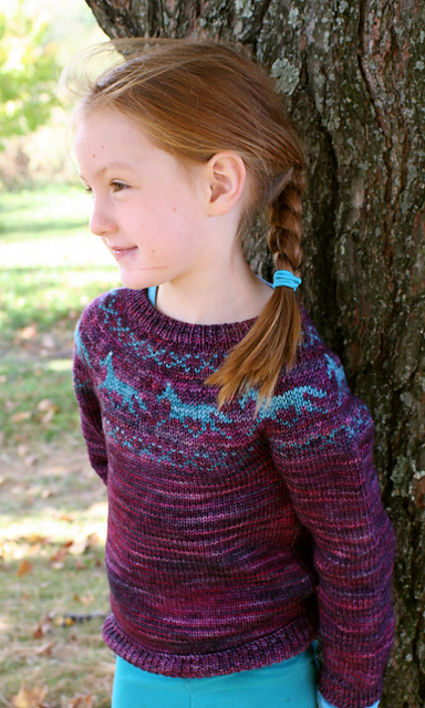 Ponies Child's Pullover