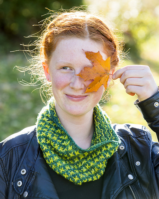 North Star Cowl