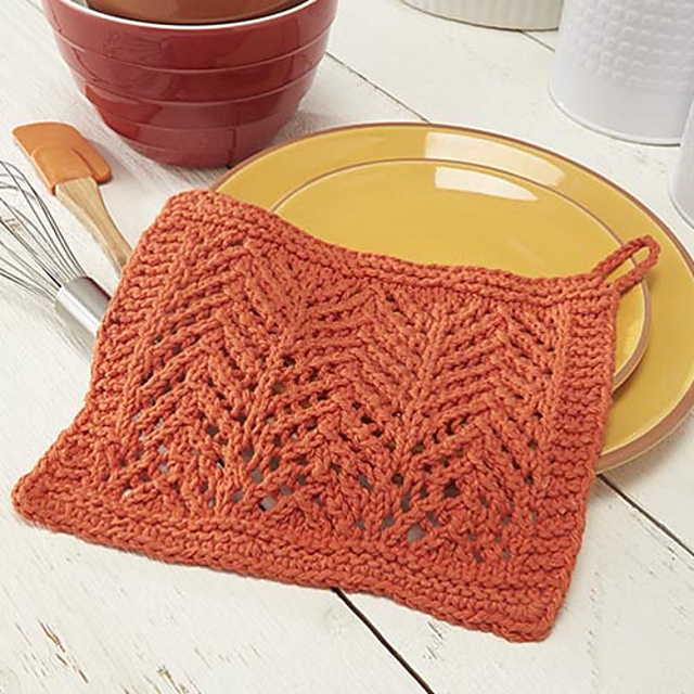 Flying V Dishcloth