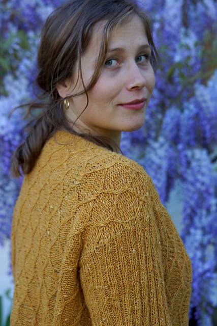 Abeilles Cardigan