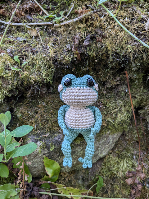 Cute frog