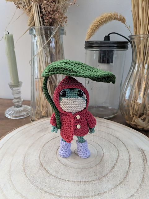 Frog's rain outfit