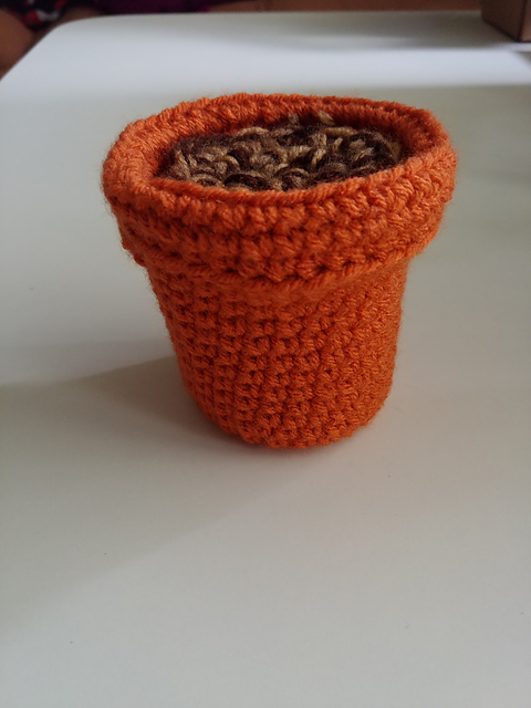 Plant Pot