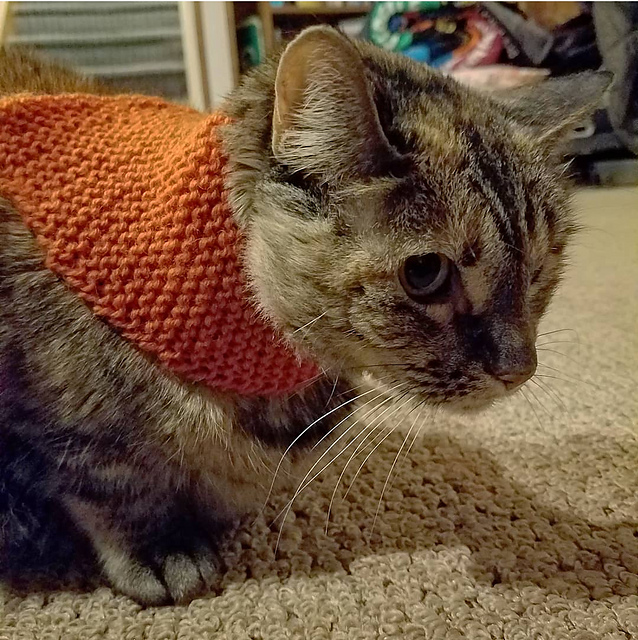 Best Friend Bandana