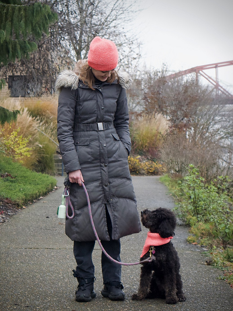Dog Walking Hat and Bandanna