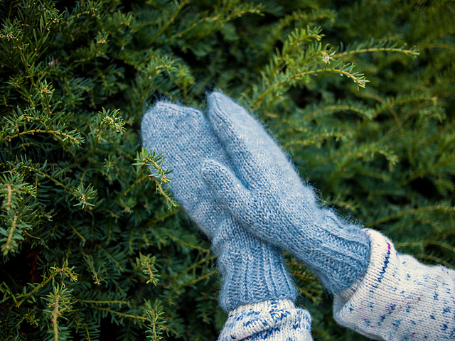 Mount Baker Mittens