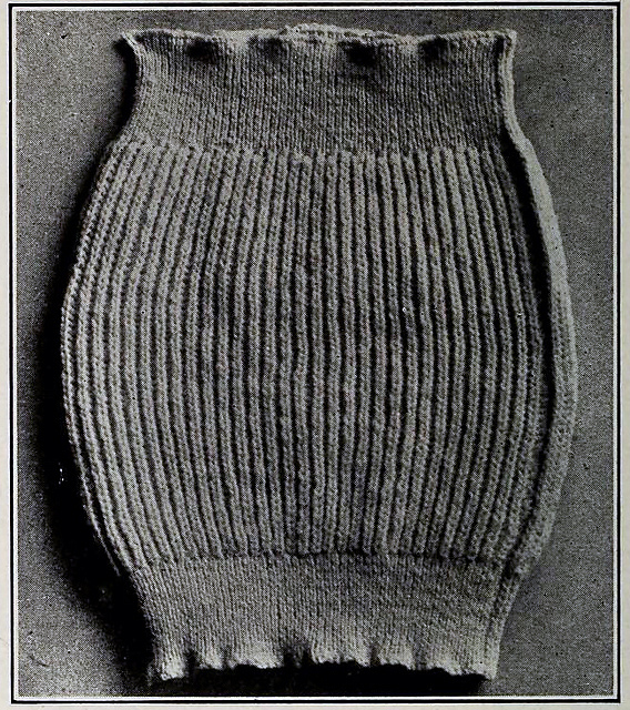 Stomacher
