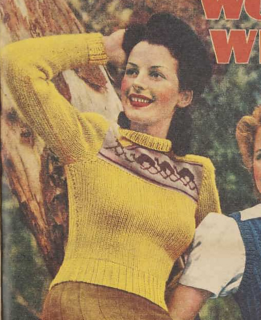 Camel Jumper