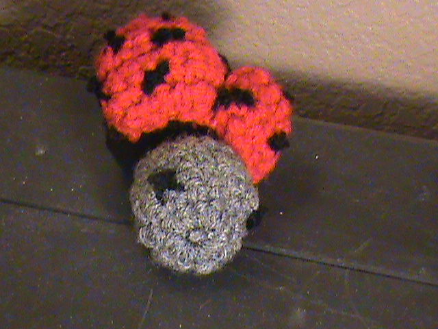Lilly the Ladybug