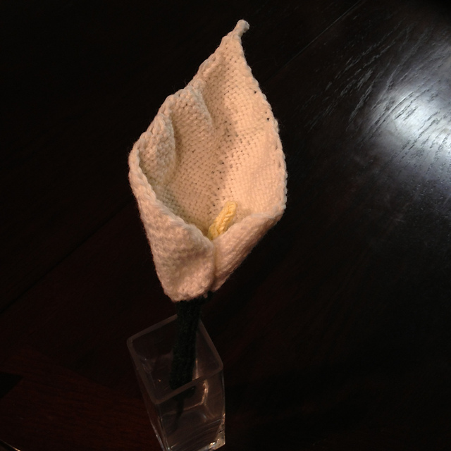 Giant White Calla Lily