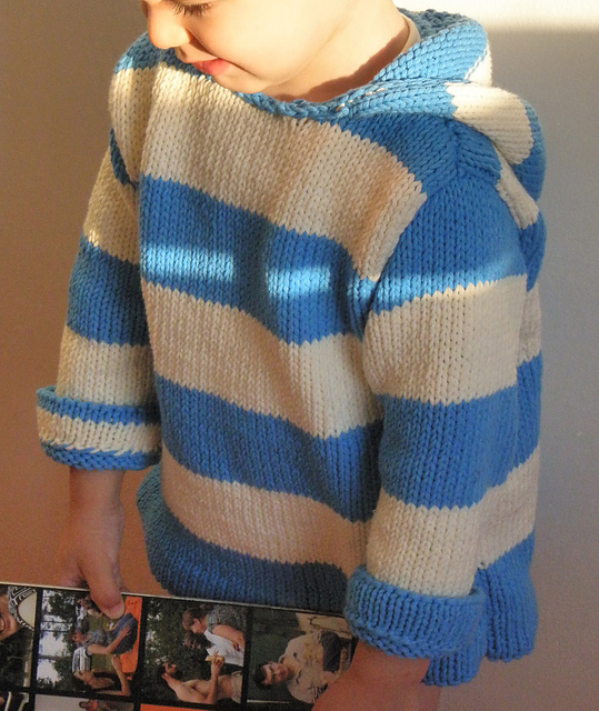 pull à capuche #013-T8-416