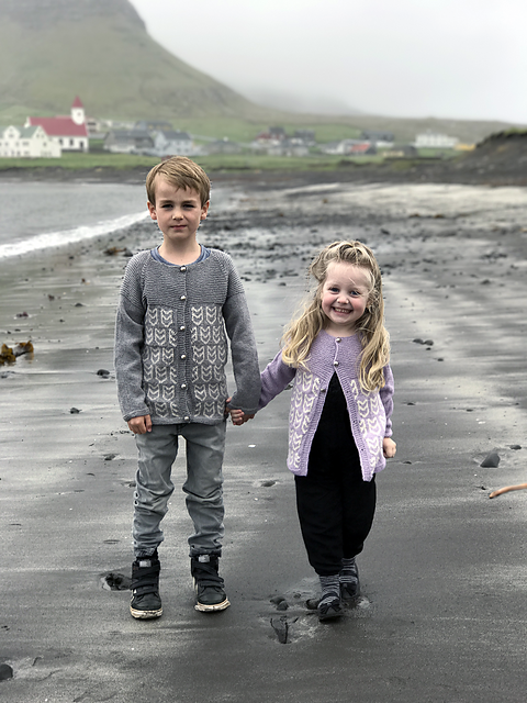 Atlantic Puffin Cardigan