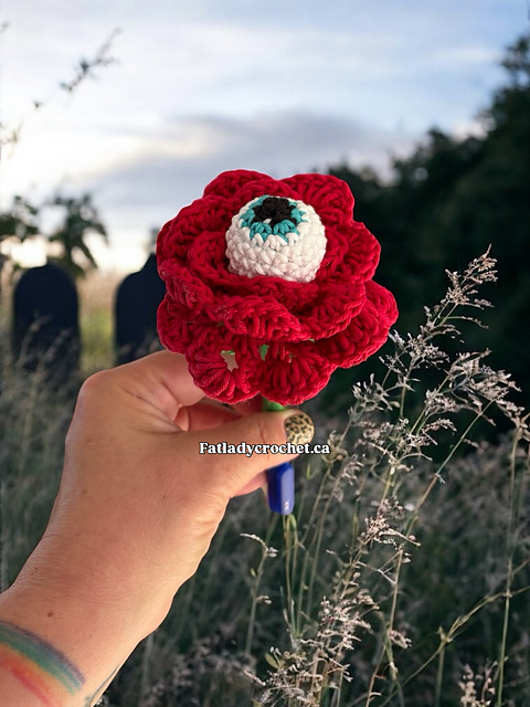 Long Stem Eyeball Rose
