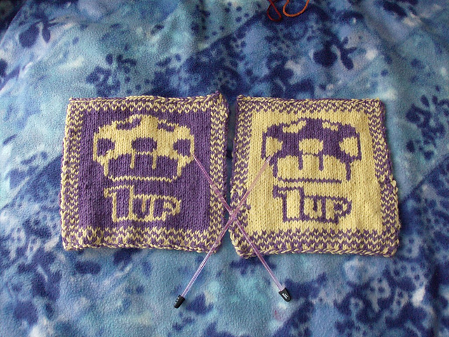 1up Mushroom Dishcloth