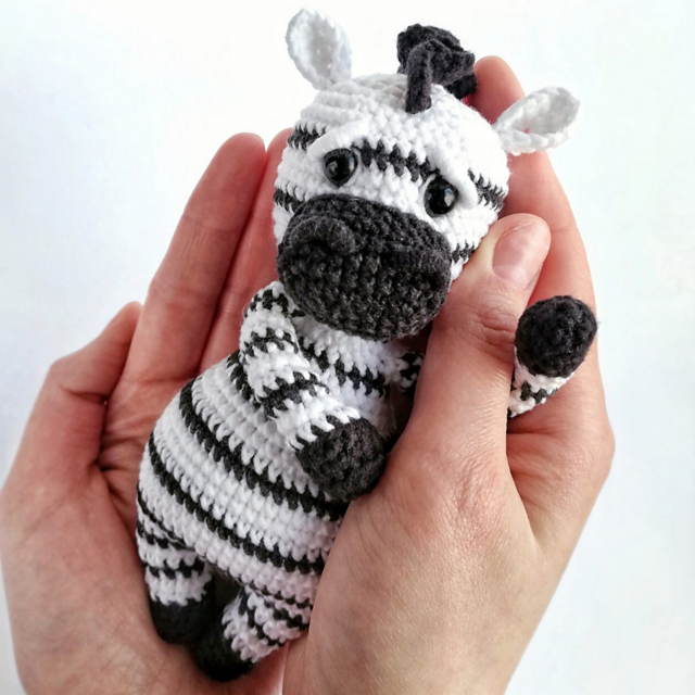 Little zebra