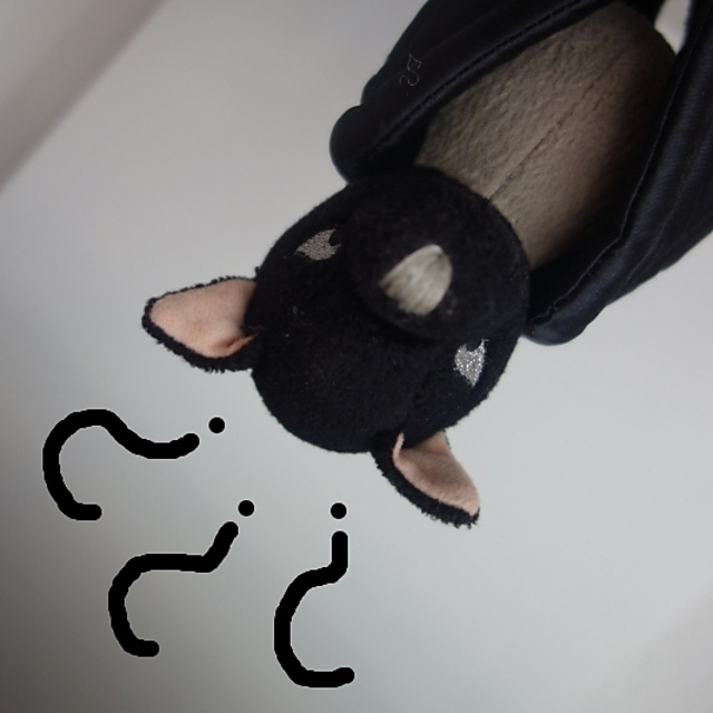 As the Bat Flies