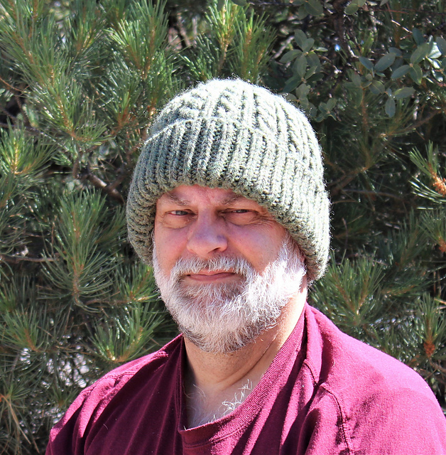 Two-Cable Chunky Hat