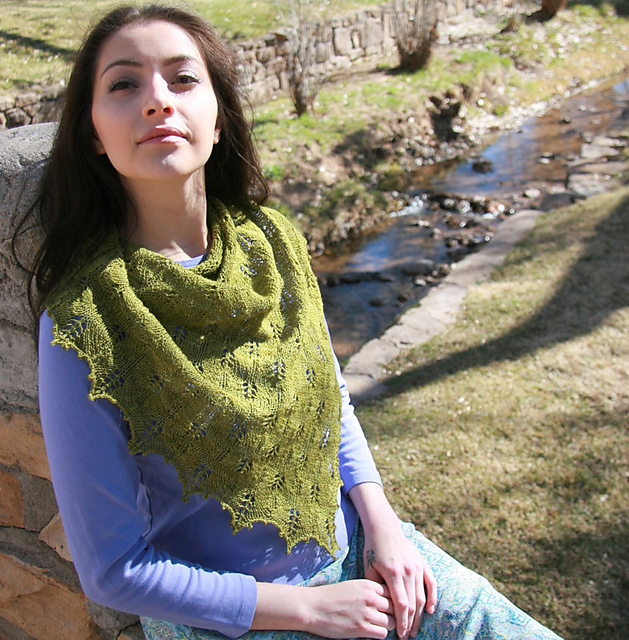 Conifer