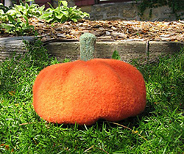 Connecticut Pumpkin
