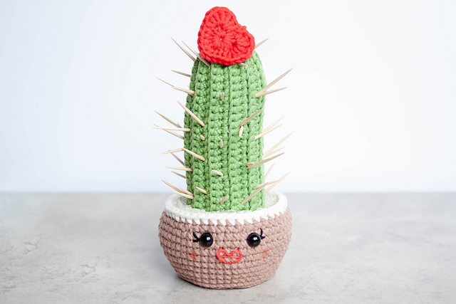 Lovely Cactus