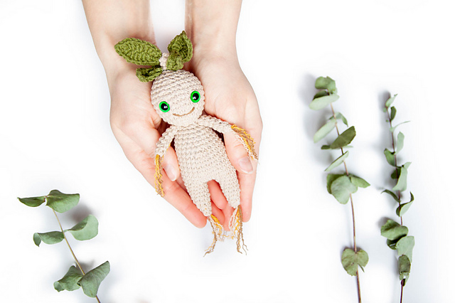 Mandrake Plant