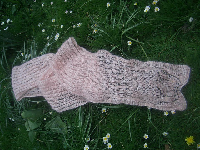 Fleurs enneigées