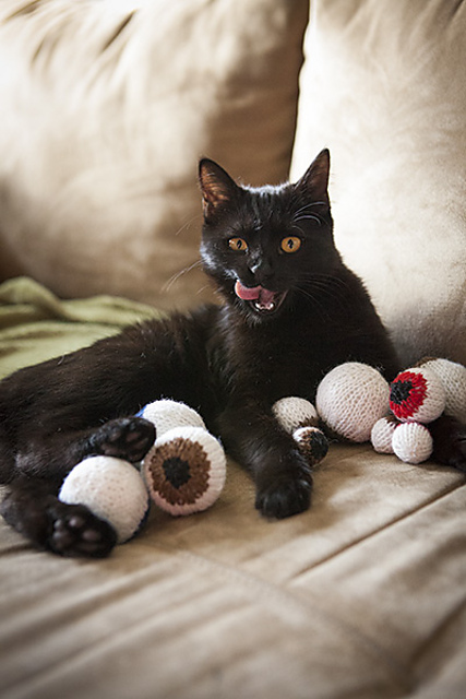 Eyeballs