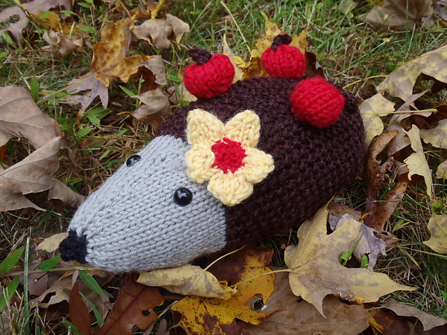 Harriette, the hedgehog
