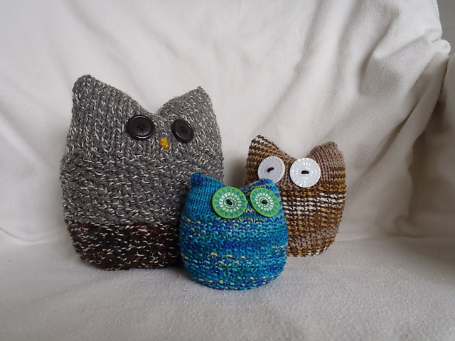 Ollie, the owlet