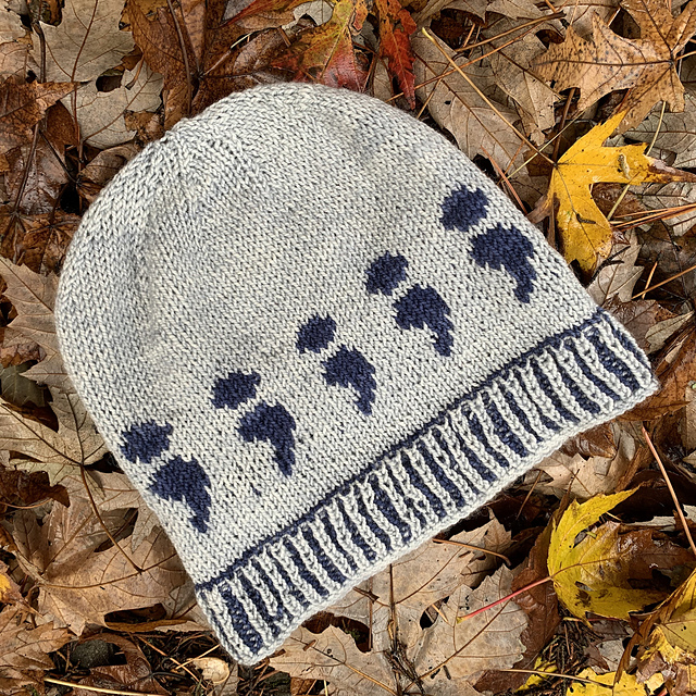 Pause and Rewind Hat