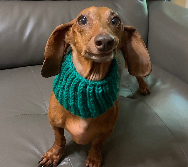 Pupper Fisherman Cowl