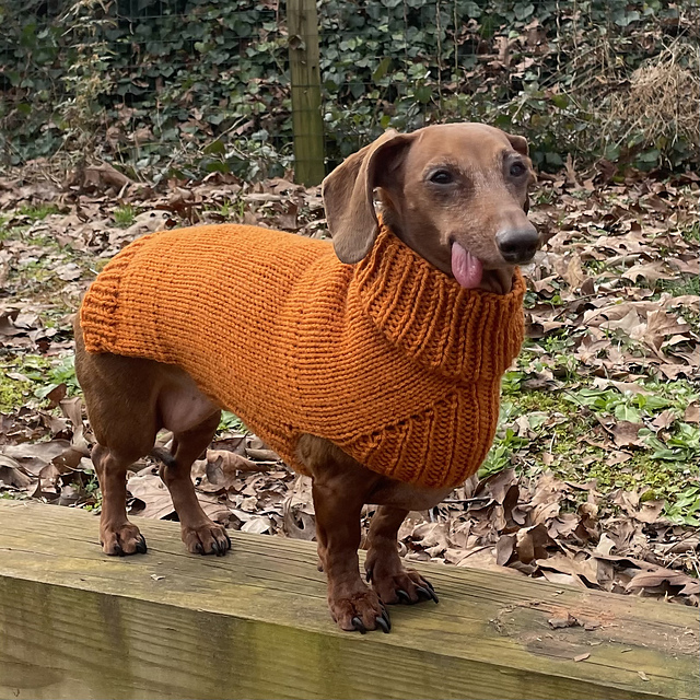 Bonnie's Best Fit