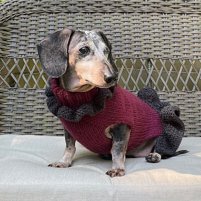 The Marvelous Maxine