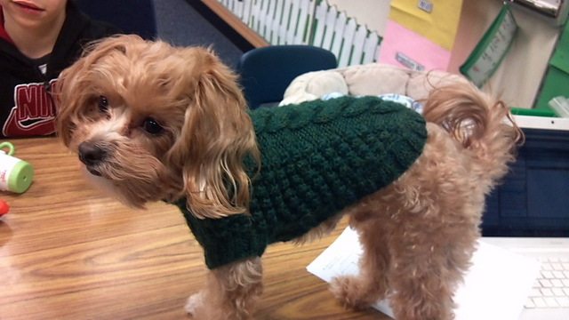 Twisted Cable Dog Coat
