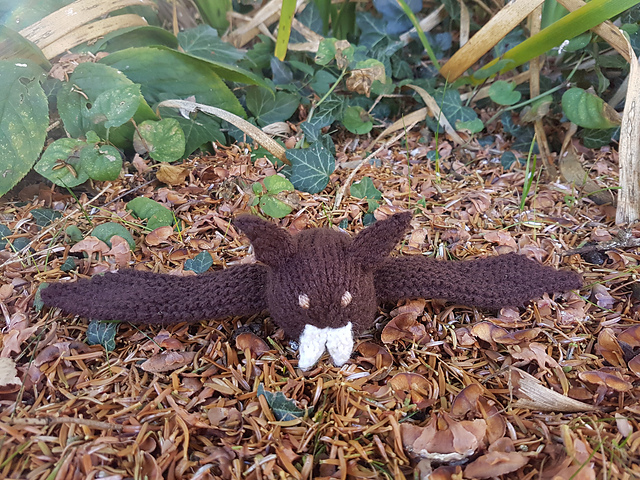 Knitted Bat