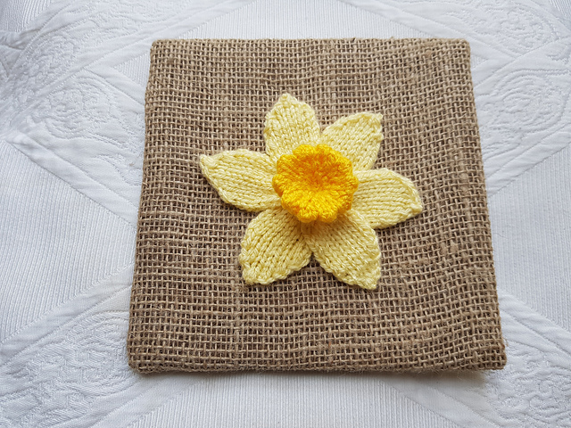 Knitted Daffodil Picture