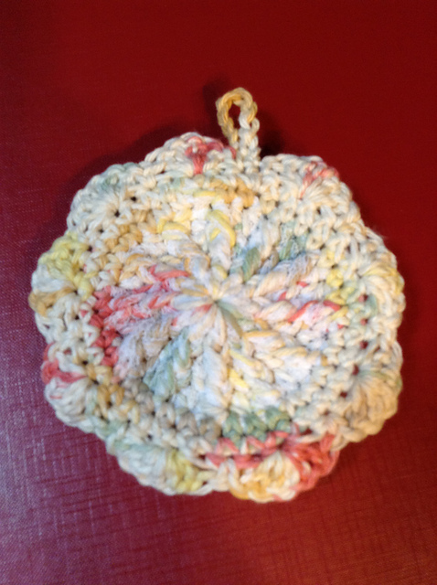 Hanging Dish Scrubber