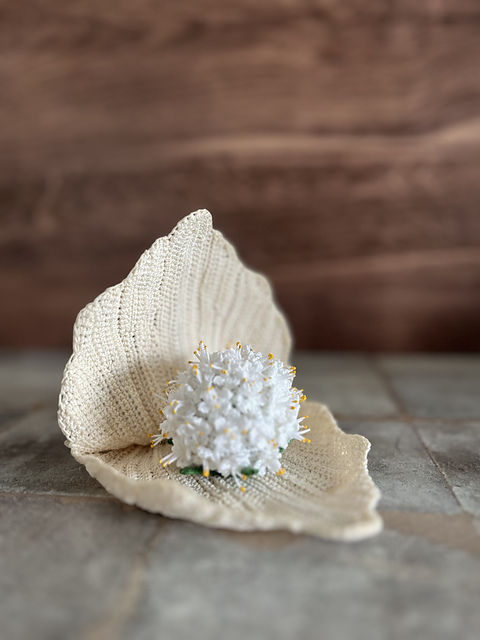 The Oyster's Hidden Pearl