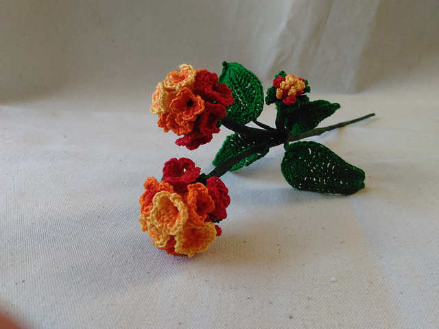 Citrus Blend Lantana Camara