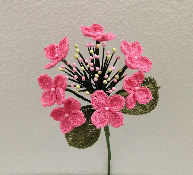 Lacecap Hydrangea