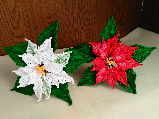 Poinsettia Collection