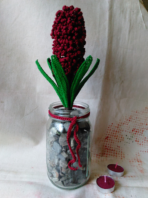 Woodstock Hyacinth Bloom