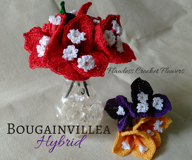 Bougainvillea Hybrid Flower