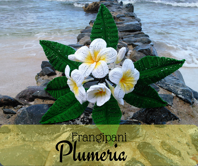 Frangipani Plumeria Flower
