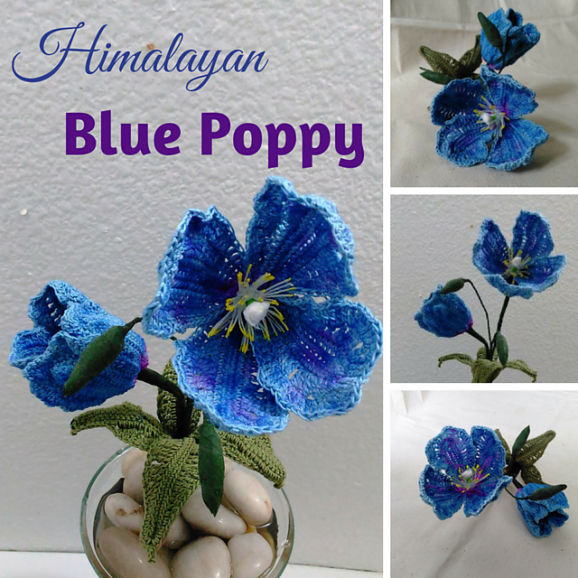 Himalayan Blue Poppy